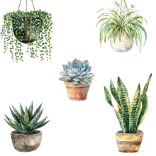 Load image into Gallery viewer, Indoor Plants and Succulents DIGITAL DOWNLOAD