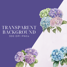 Load image into Gallery viewer, Spring Hydrangeas Clipart Pack DIGITAL DOWNLOAD