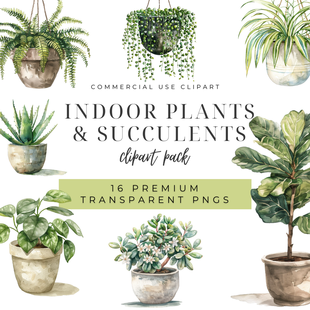 Indoor Plants and Succulents DIGITAL DOWNLOAD