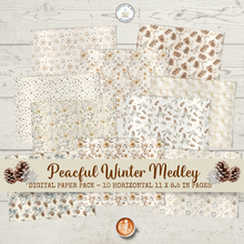 Load image into Gallery viewer, Peaceful Winter Medley Digital Paper Pack {DIGITAL DOWNLOAD}
