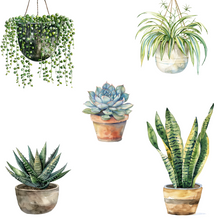 Load image into Gallery viewer, Indoor Plants and Succulents DIGITAL DOWNLOAD
